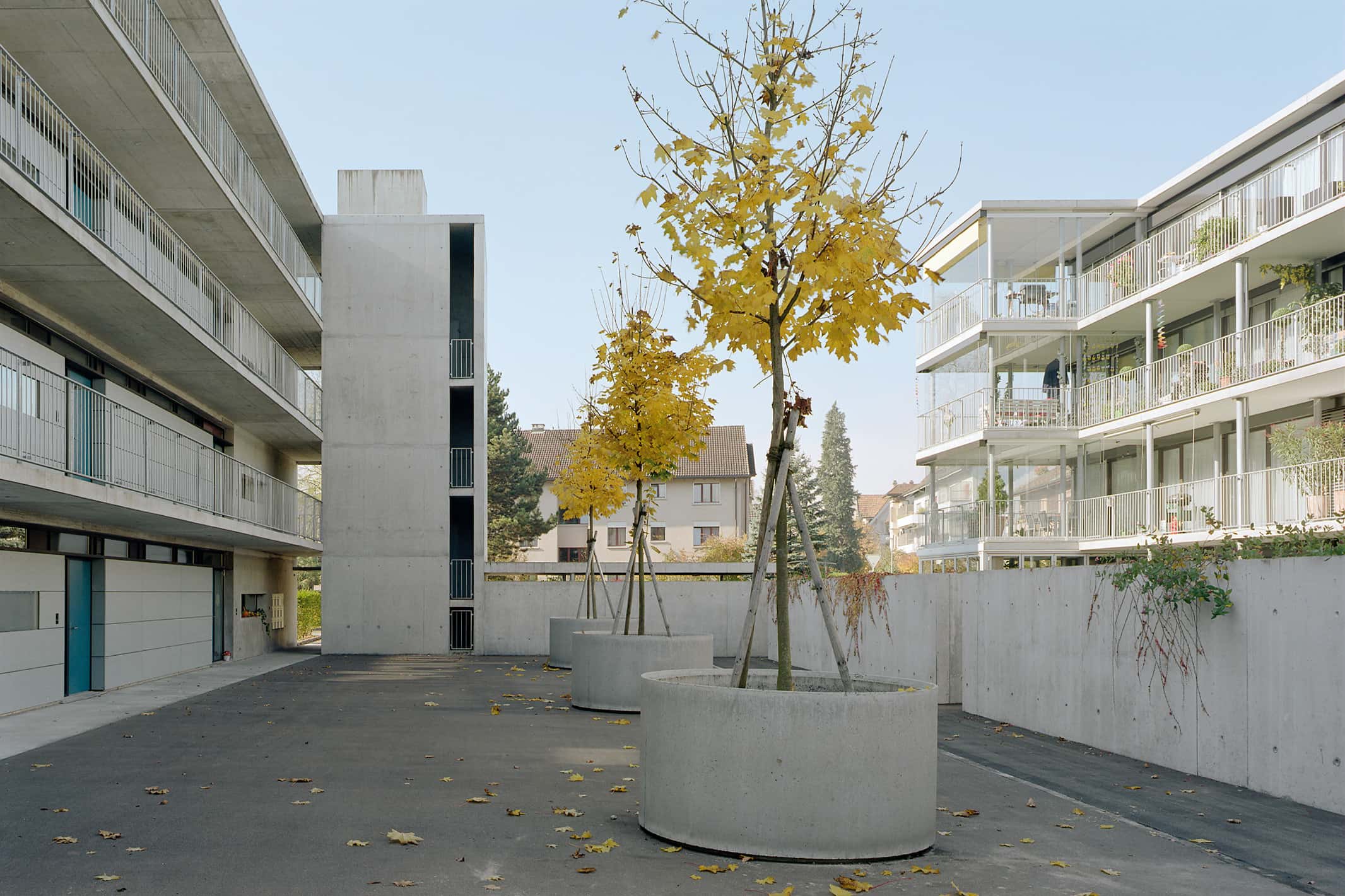Mehrfamilienhäuser Walzmühlestrasse Frauenfeld